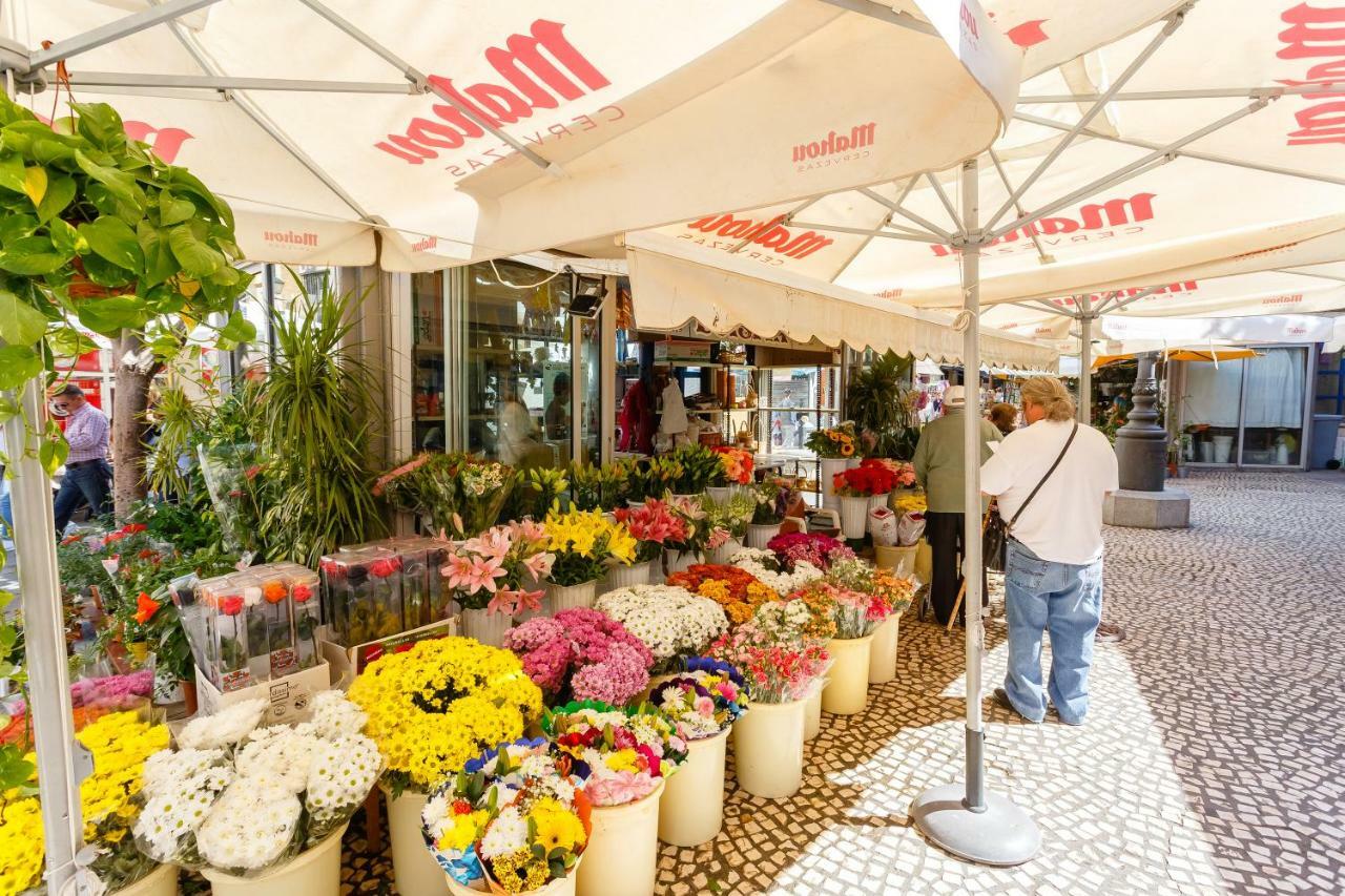 Casa Patio Del Mentidero Lägenhet Cádiz Exteriör bild